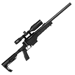 SSG11